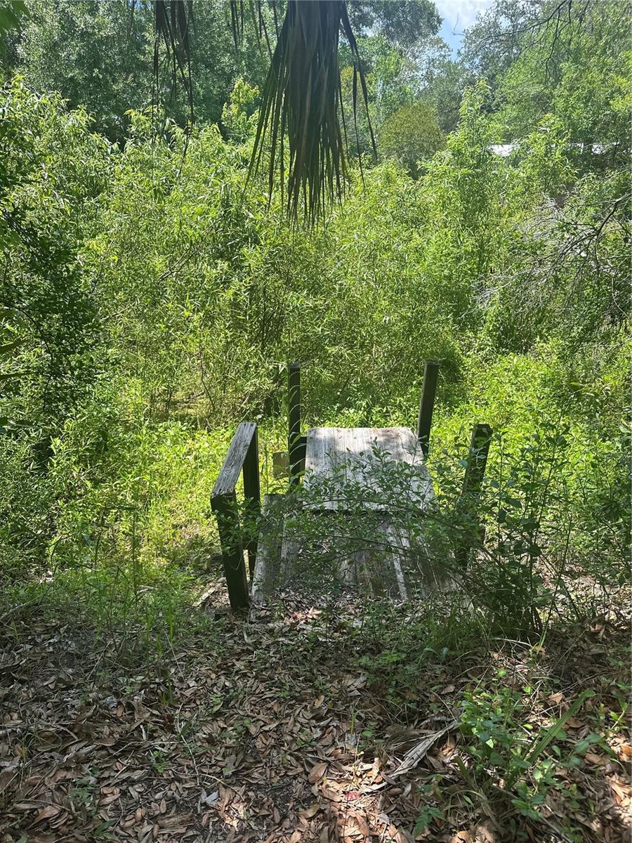 10828 E Freddy St Property Photo 7