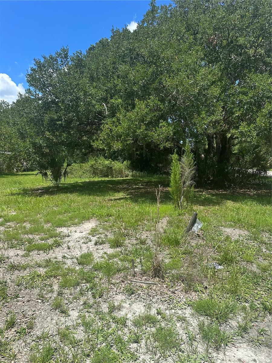 10828 E Freddy St Property Photo 9