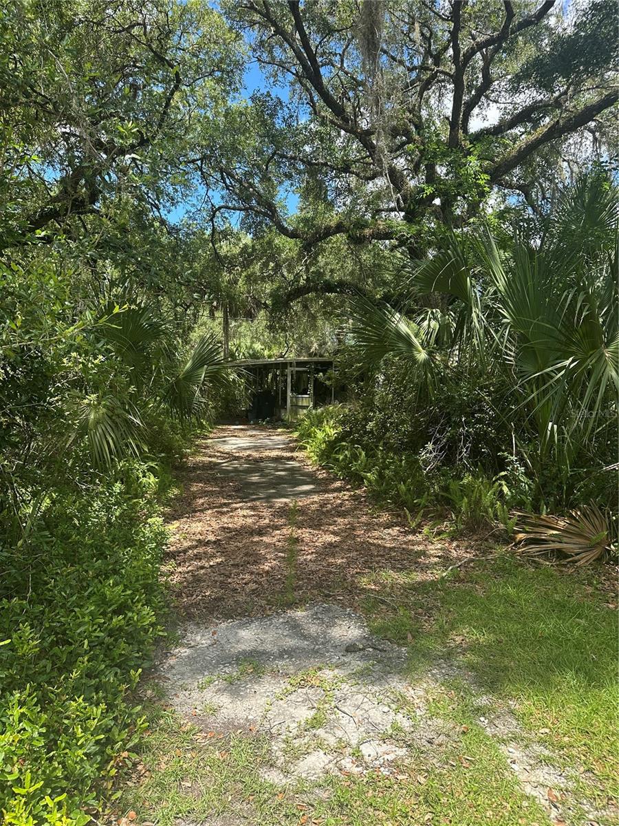 10828 E Freddy St Property Photo 15