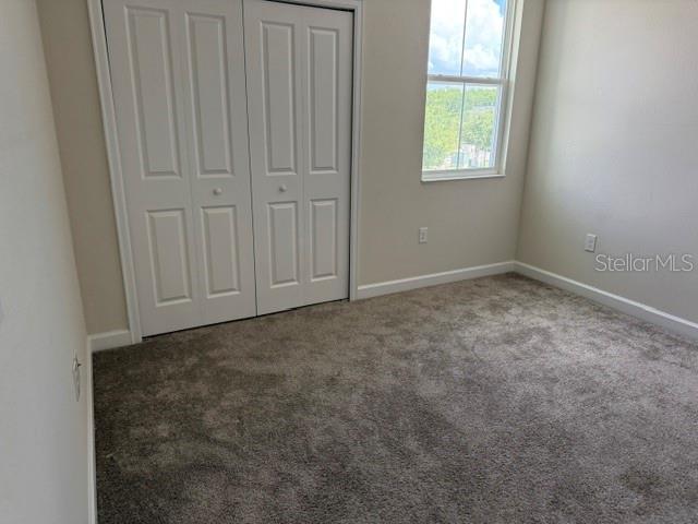 4915 Tribute Trl Property Photo 14