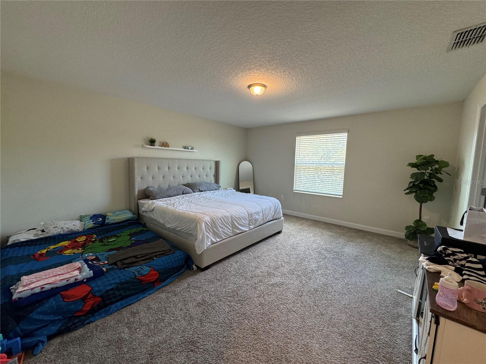 1512 Oak Marsh Loop Property Photo 19