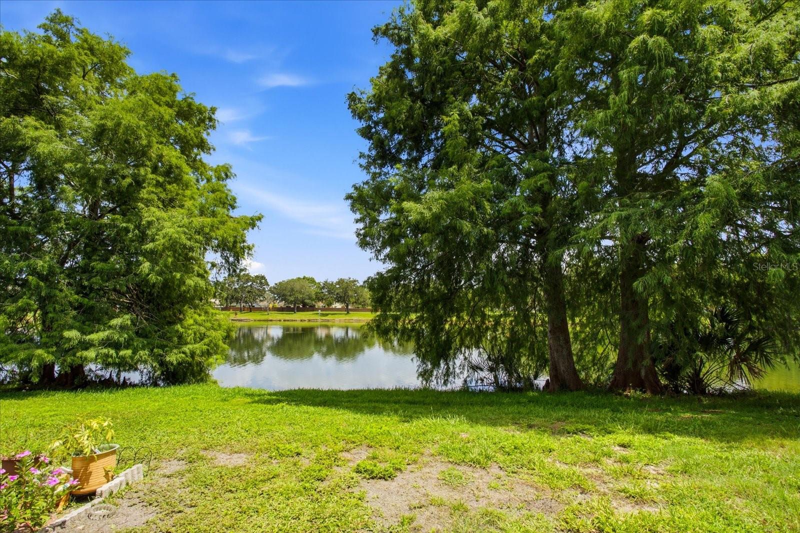 2321 Water View Loop Property Photo 23