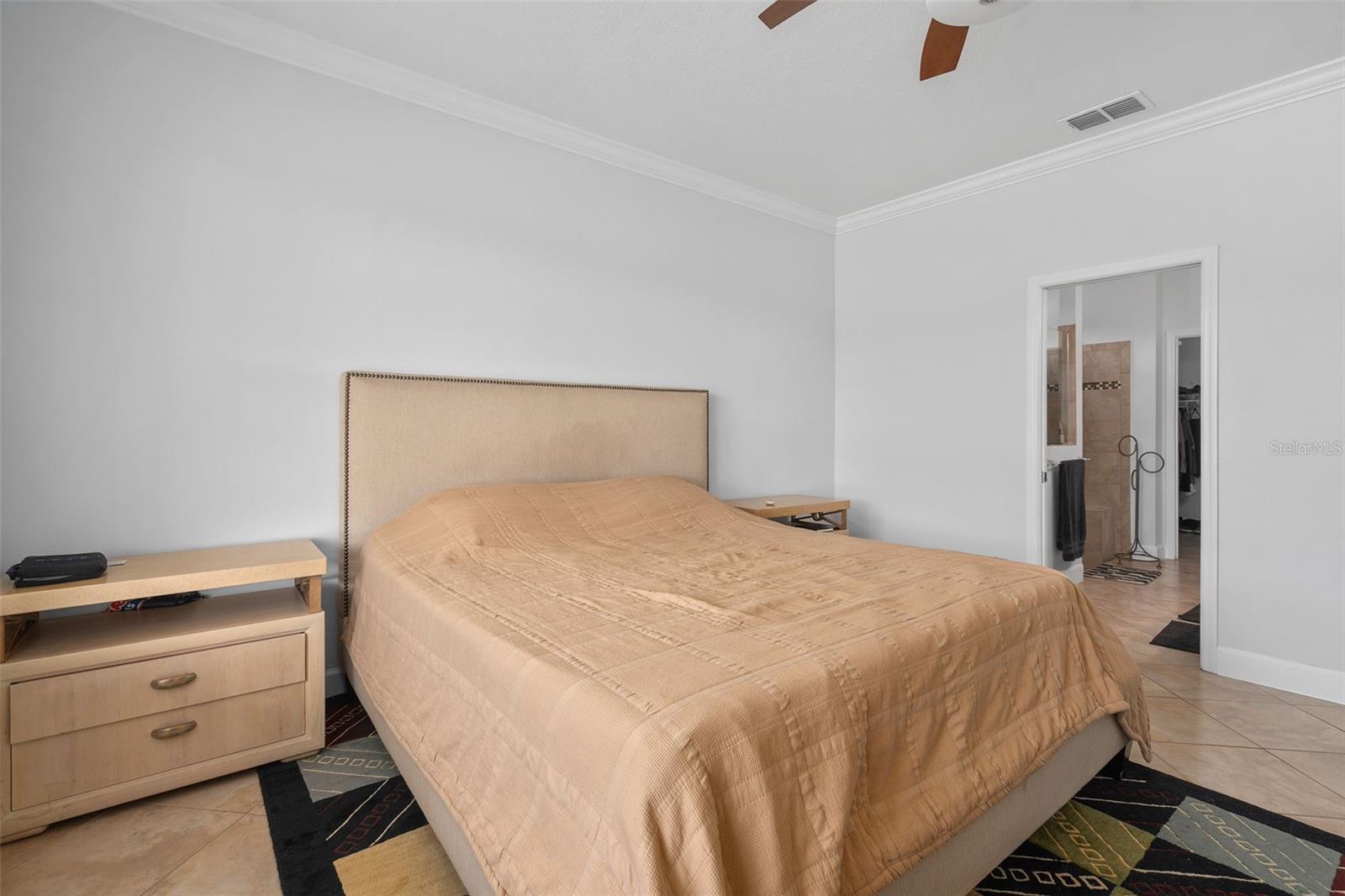 30115 Kladruby Pt Property Photo 18