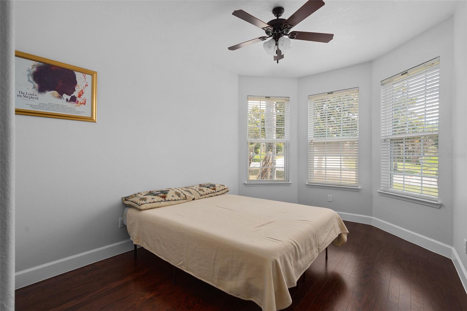 30115 Kladruby Pt Property Photo 26