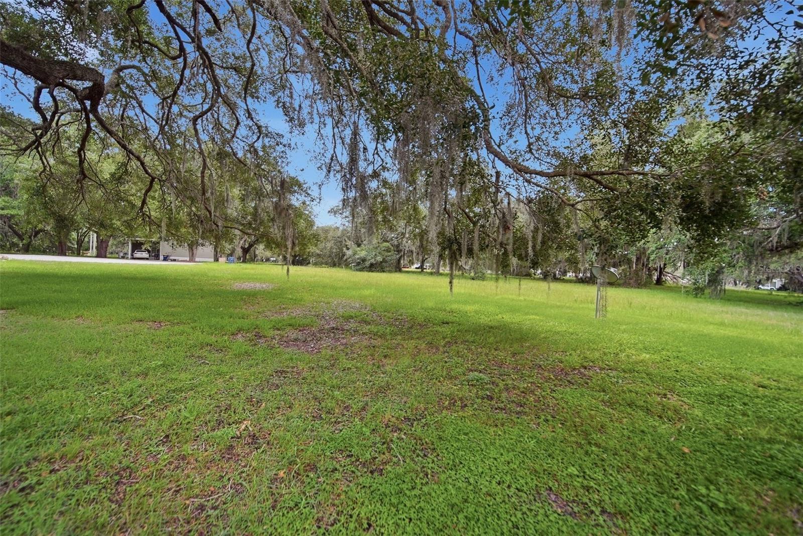 25138 Buttonwood Dr Property Photo 36