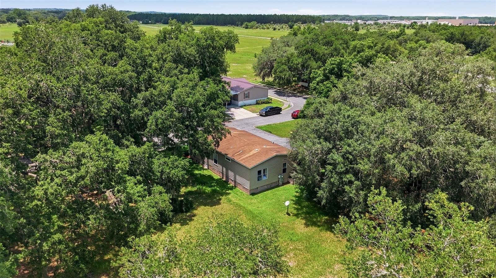 25138 Buttonwood Dr Property Photo 37