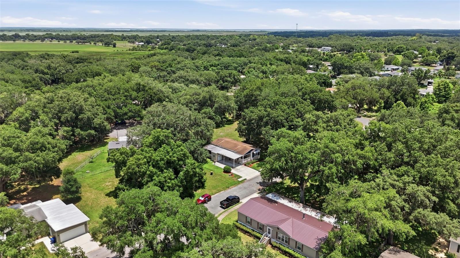 25138 Buttonwood Dr Property Photo 40