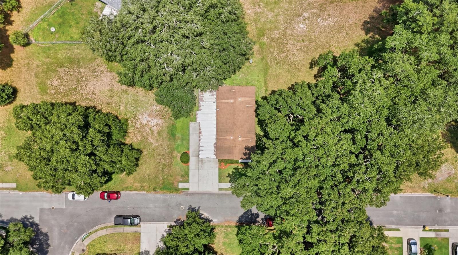 25138 Buttonwood Dr Property Photo 43