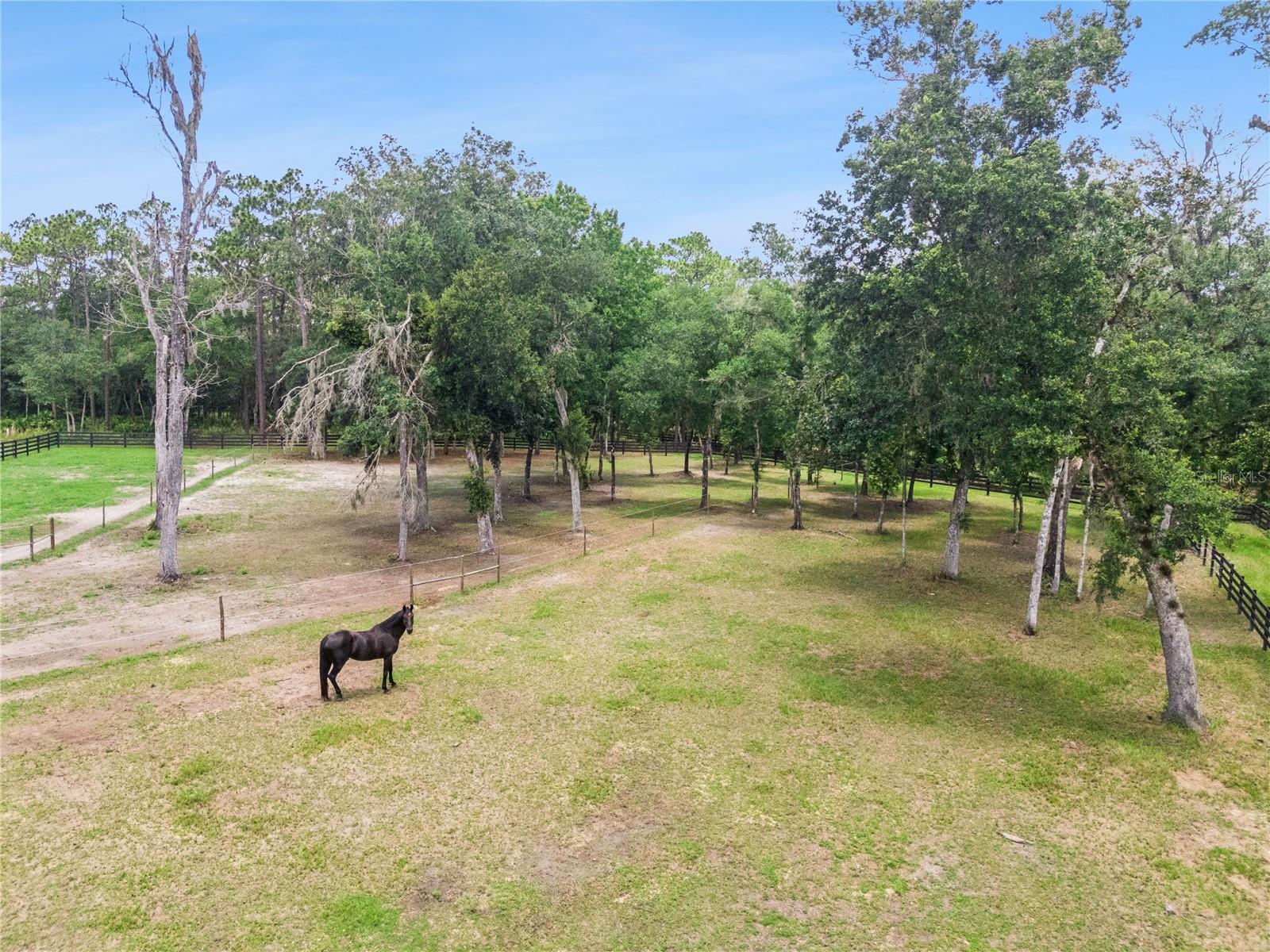 2370 Pine Meadows Pl Property Photo 45