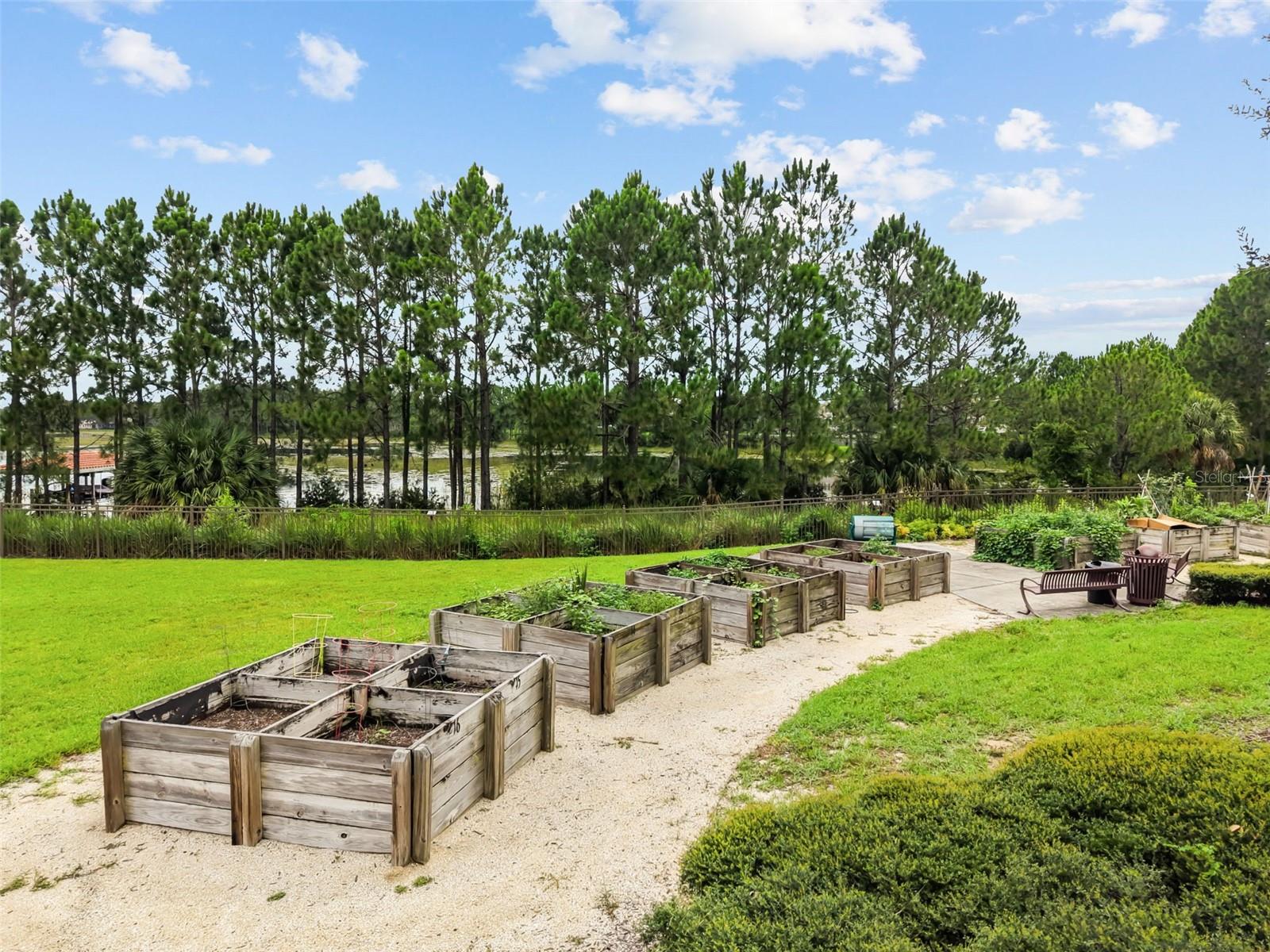 16082 Hampton Crossing Dr Property Photo 50