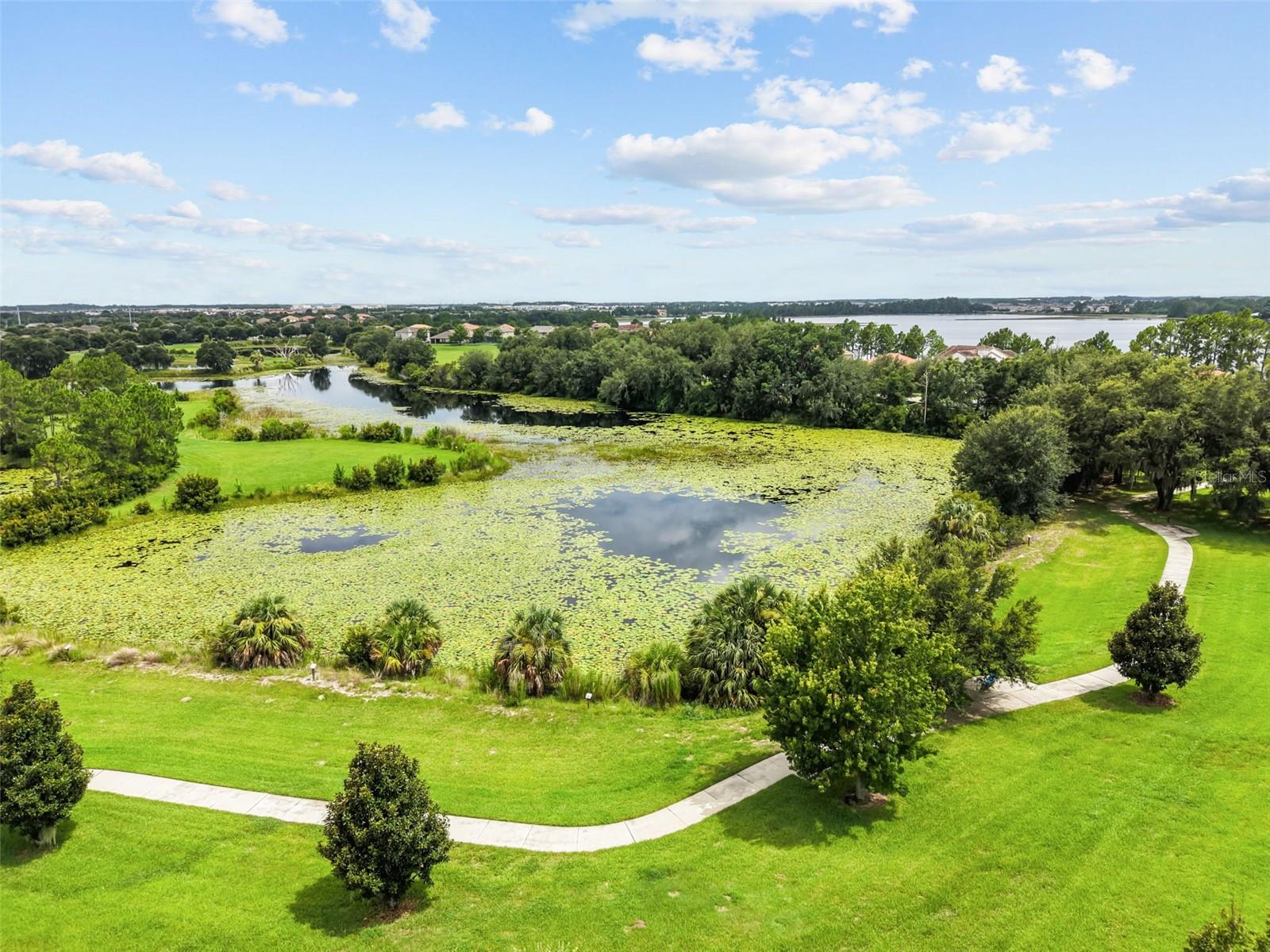 16082 Hampton Crossing Dr Property Photo 57