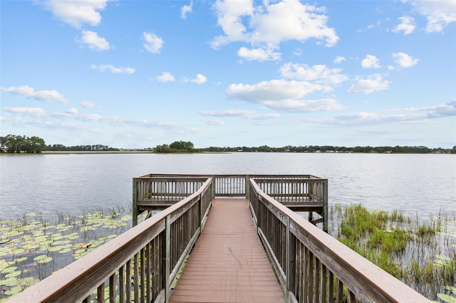 16082 Hampton Crossing Dr Property Photo 59