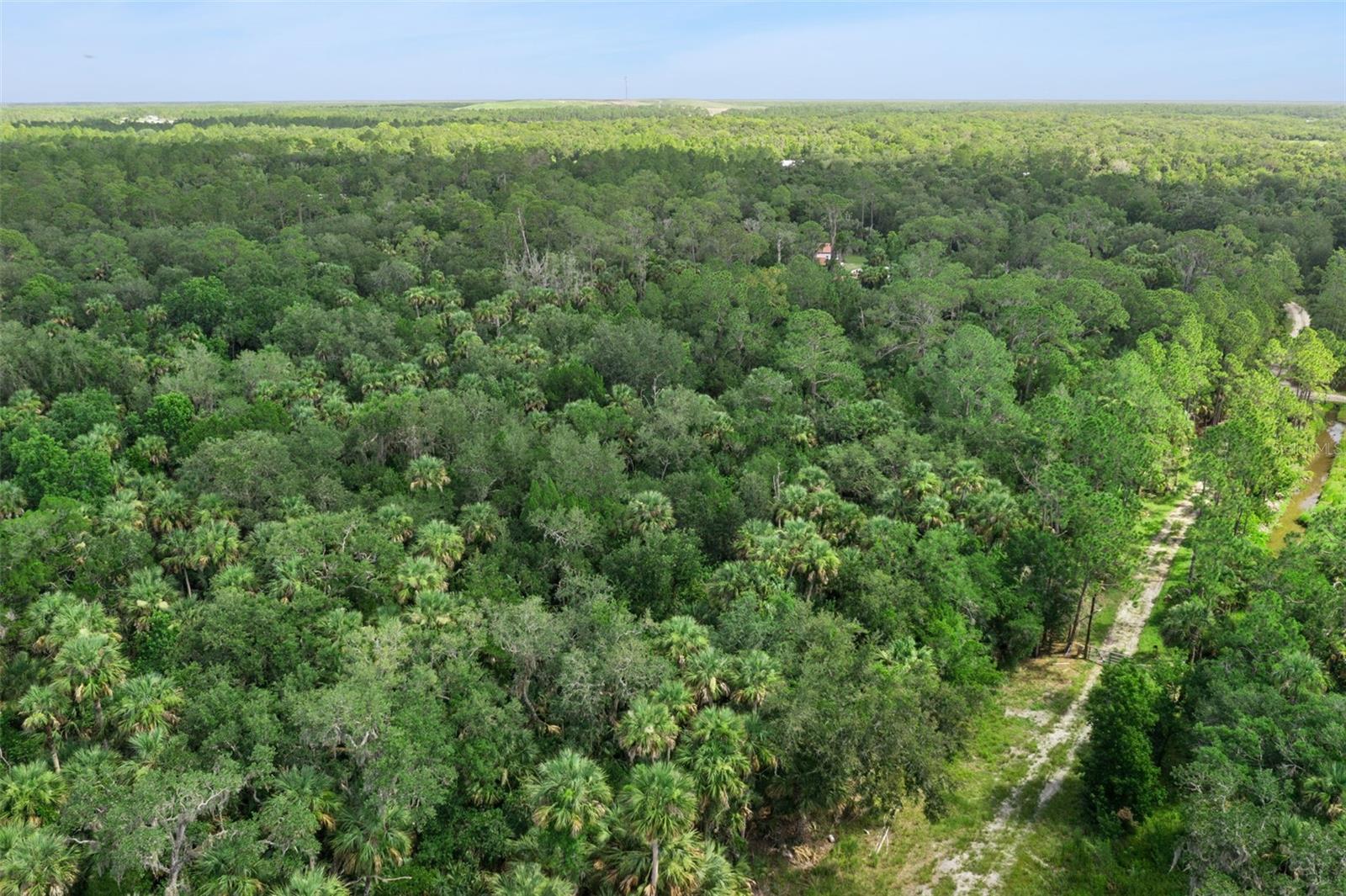 2401 Canvasback Trl Property Photo 7
