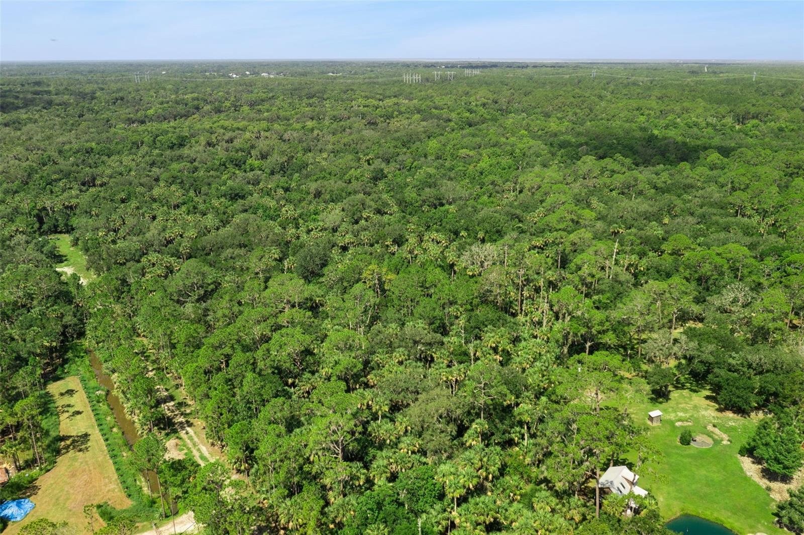 2401 Canvasback Trl Property Photo 13