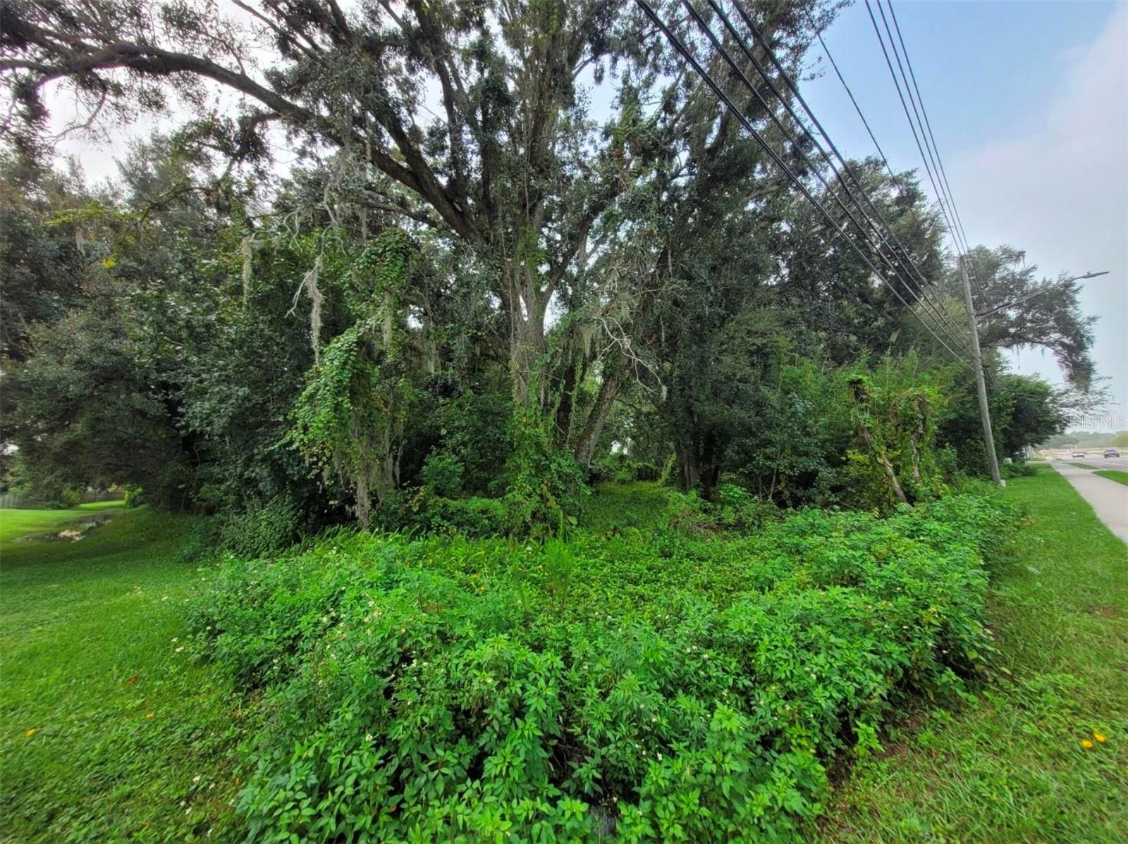 Curry Ford Rd Property Photo 10