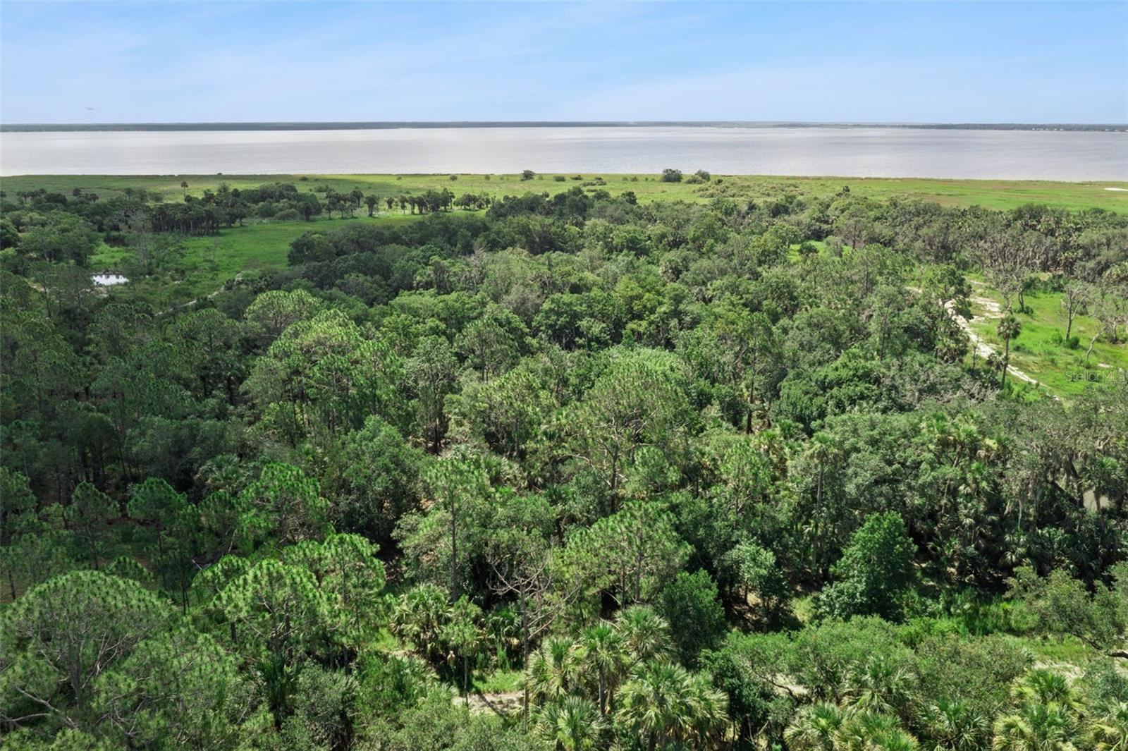 Canvasback Trl Property Photo 11