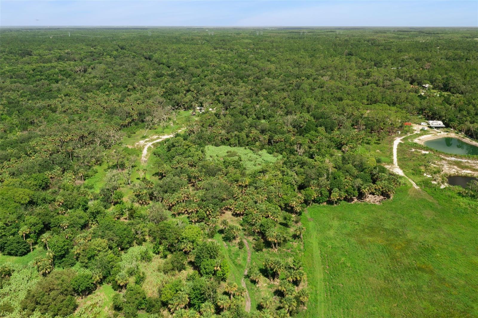 Canvasback Trl Property Photo 15