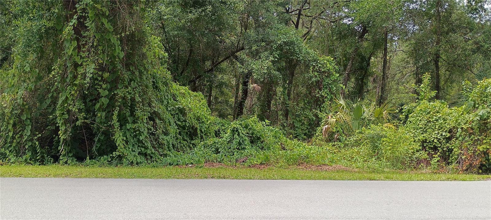 1876 Blackwelder Rd Property Photo 2