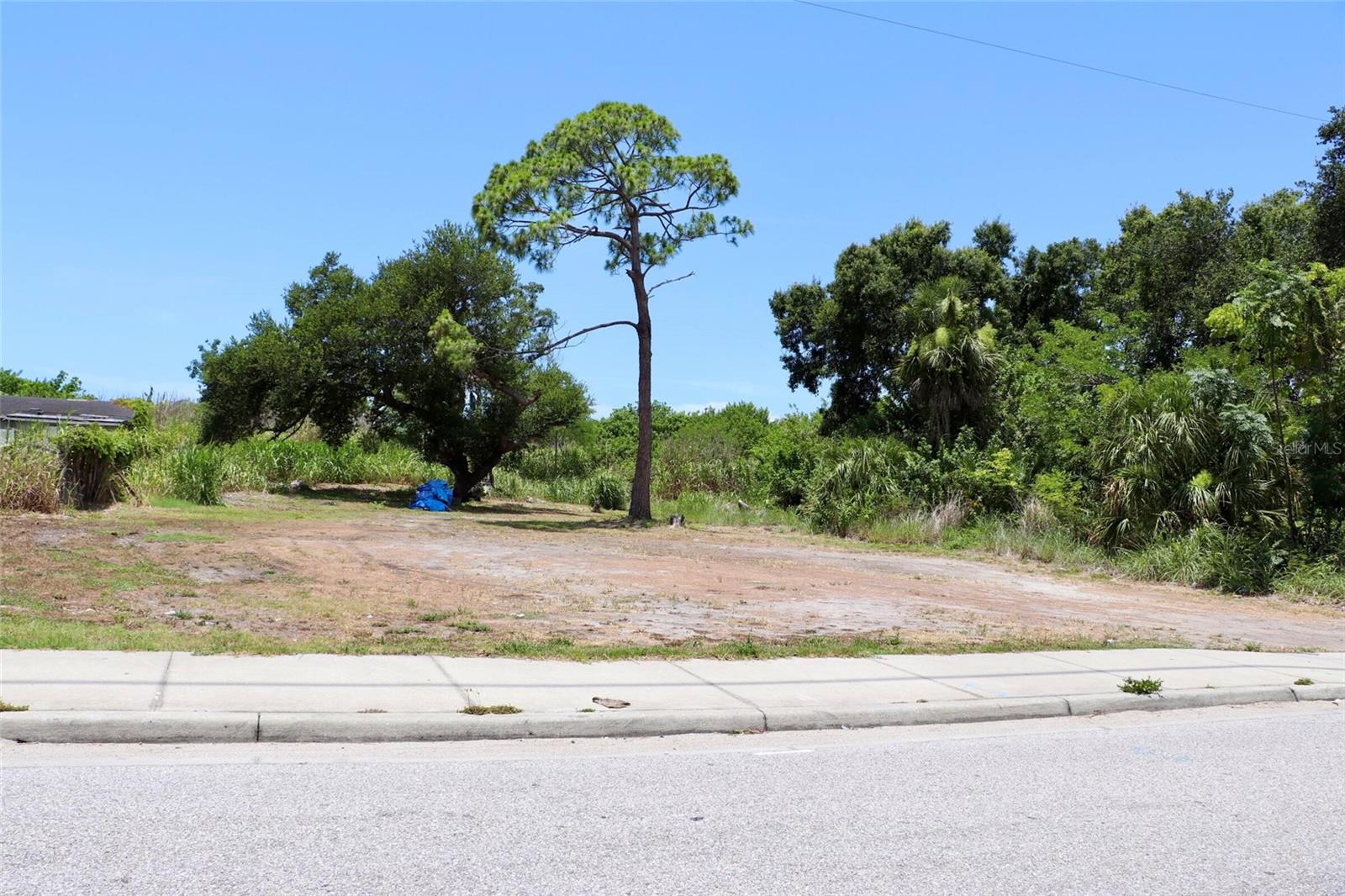 0 Mango Ave Property Photo 3