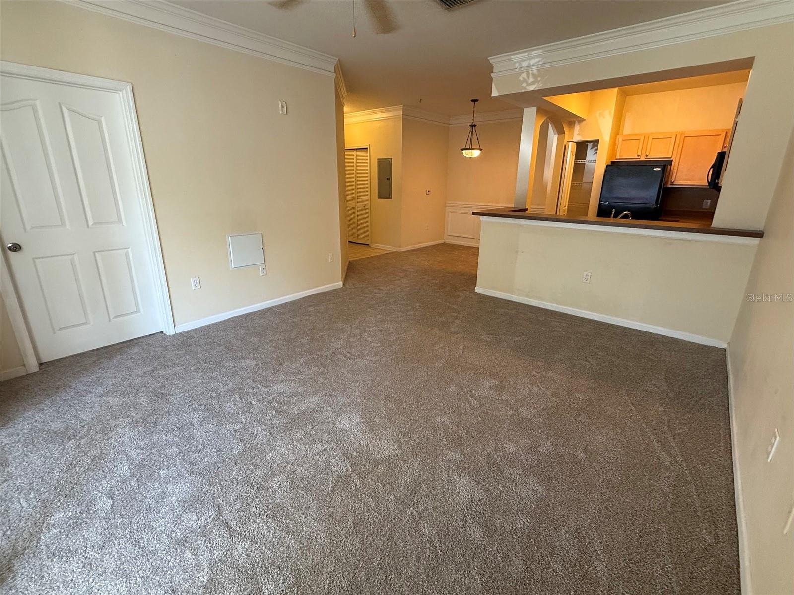 12861 Madison Pointe Cir #106 Property Photo 7