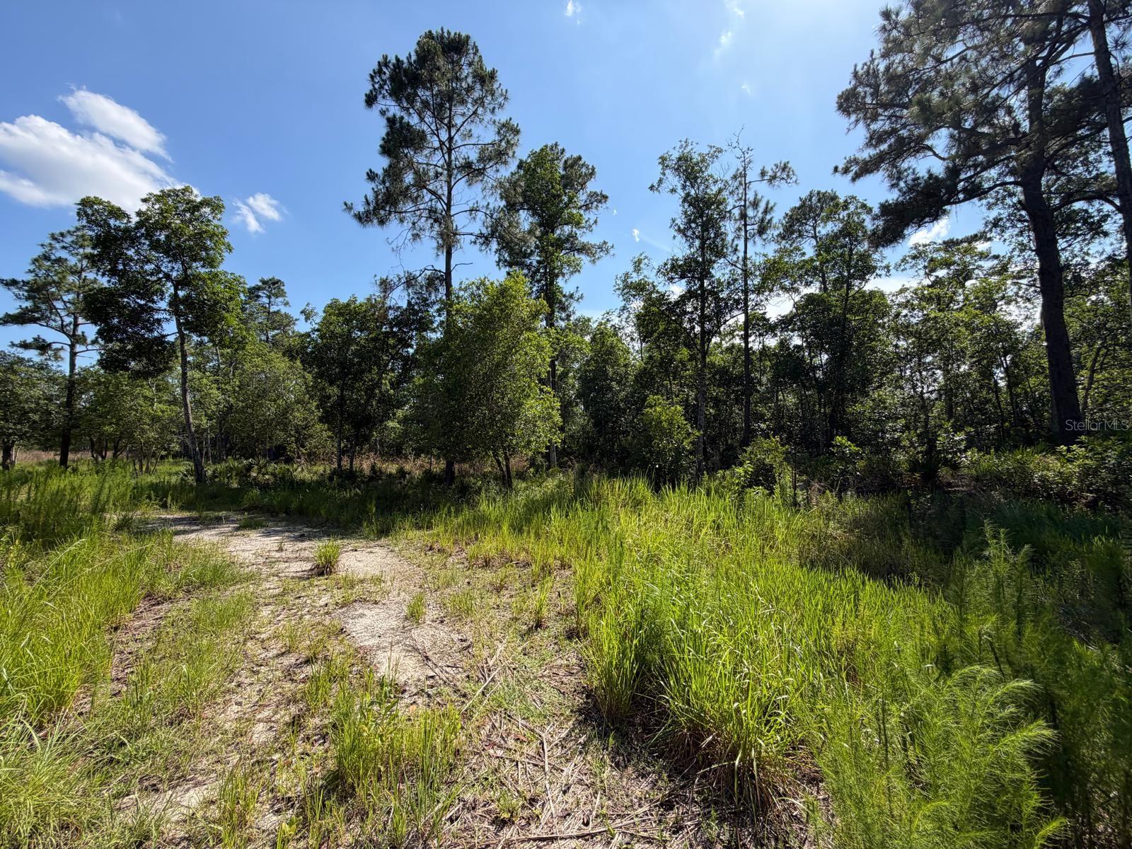 1842 Sweetwater Bnd Property Photo 1