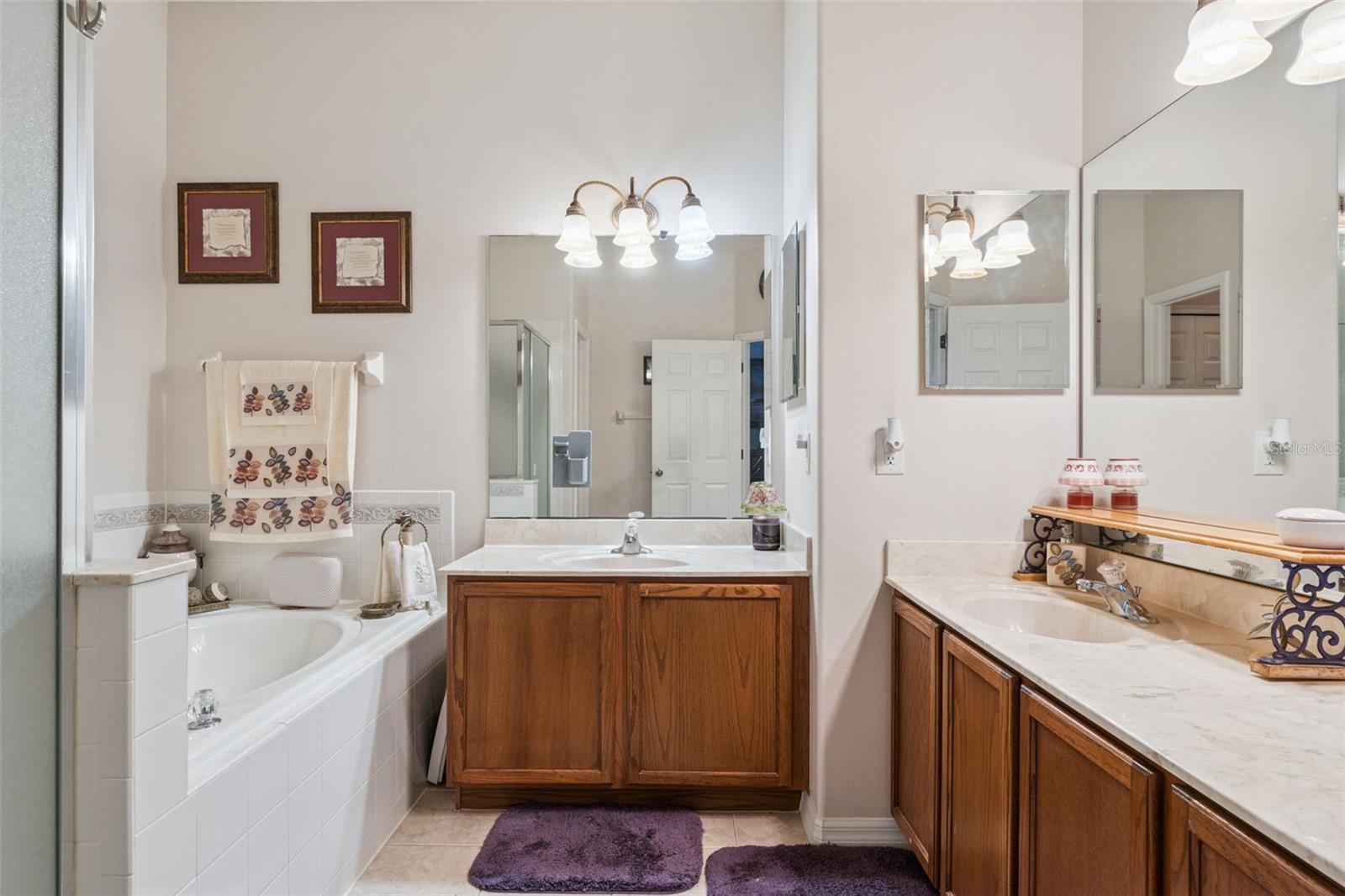 9955 Medallion Bluff Ln Property Photo 23