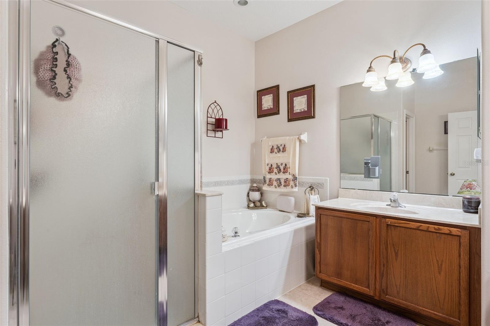 9955 Medallion Bluff Ln Property Photo 24