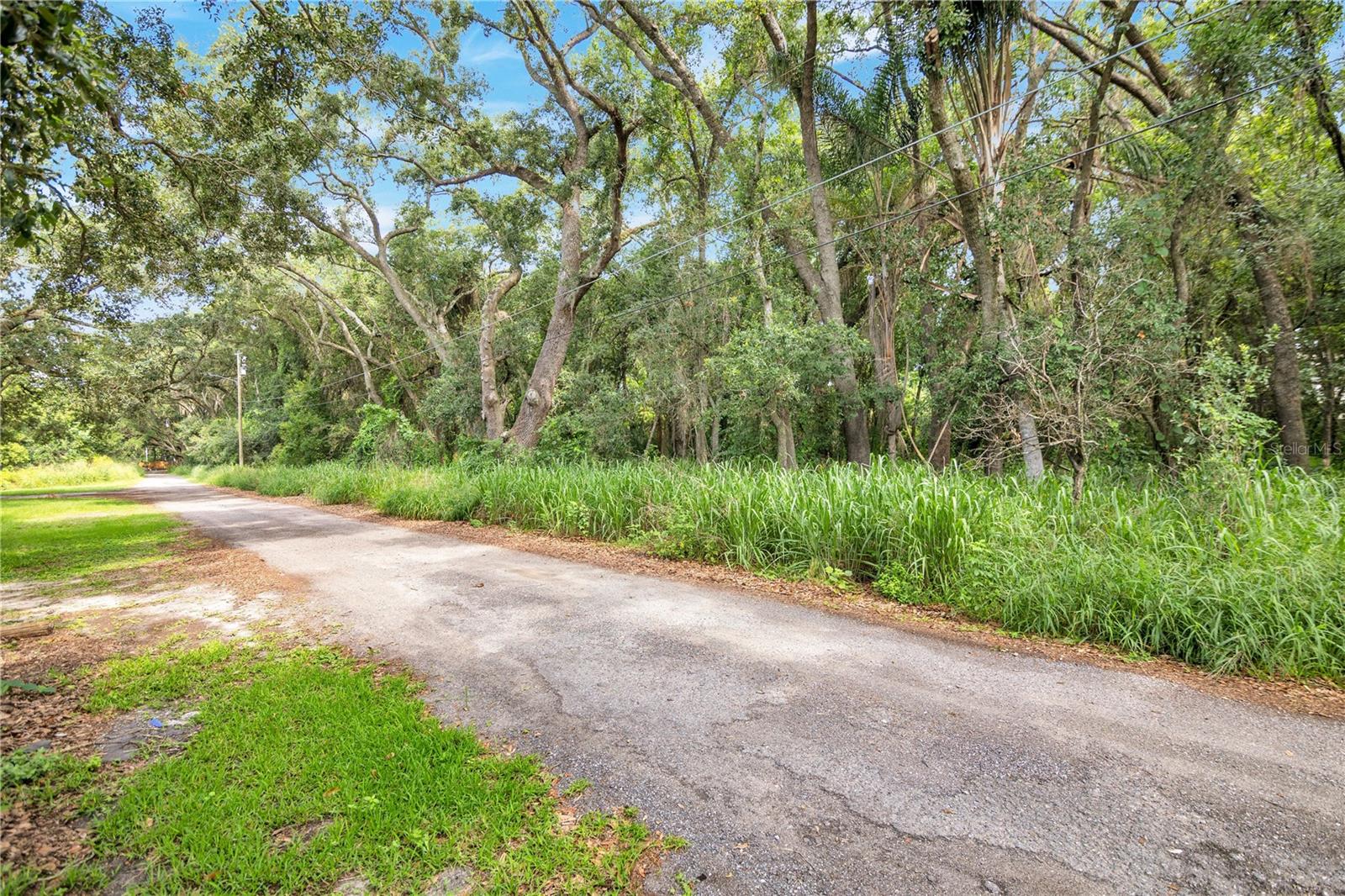 Avalon Rd #53 Property Photo 5