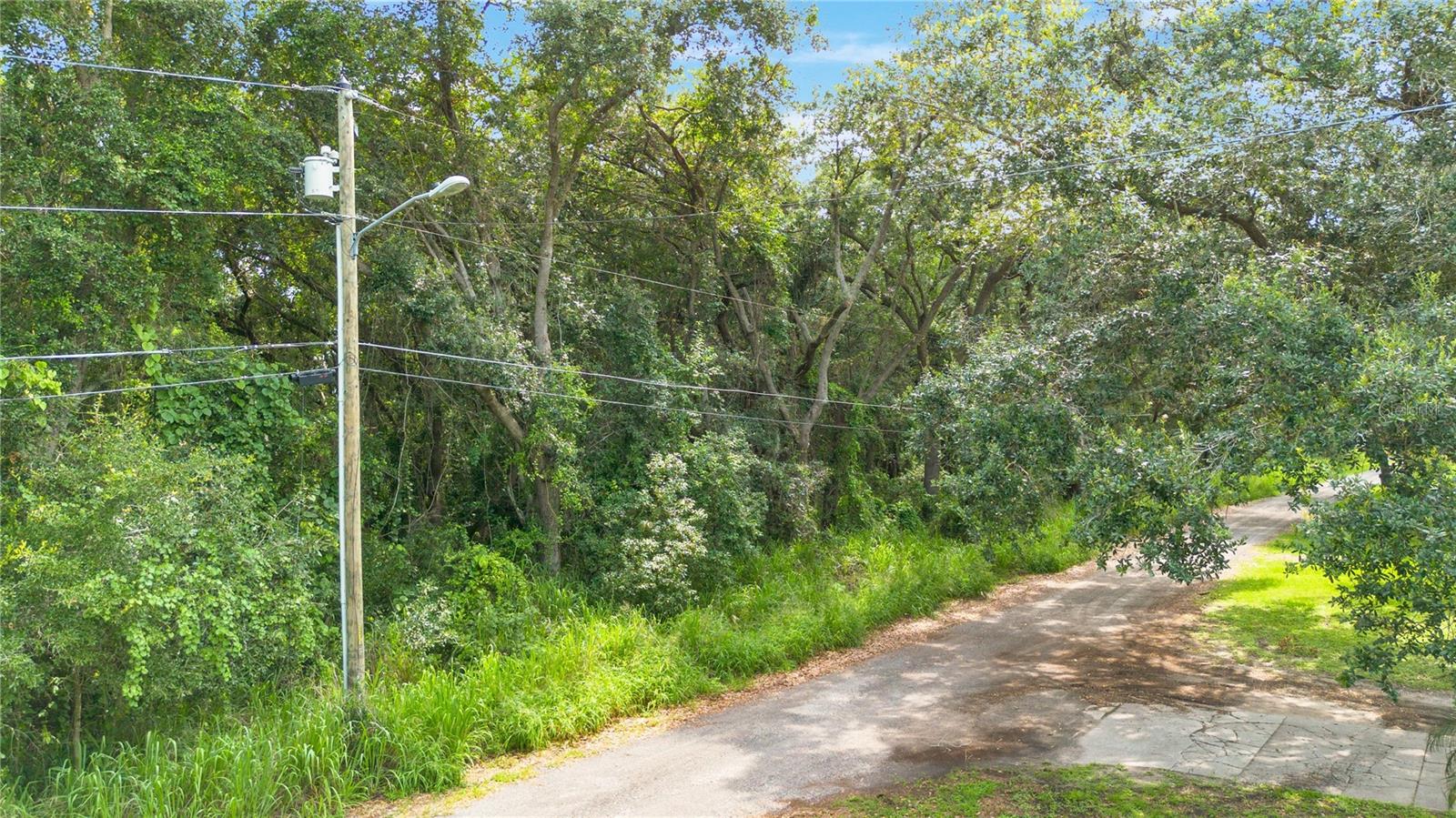 Avalon Rd #53 Property Photo 6
