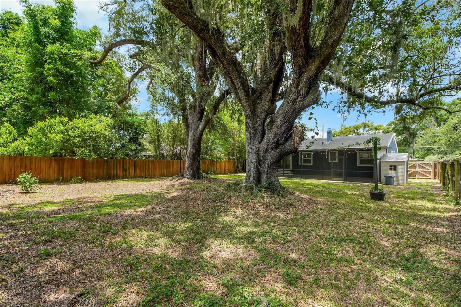 301 S Hampton Ave Property Photo 6