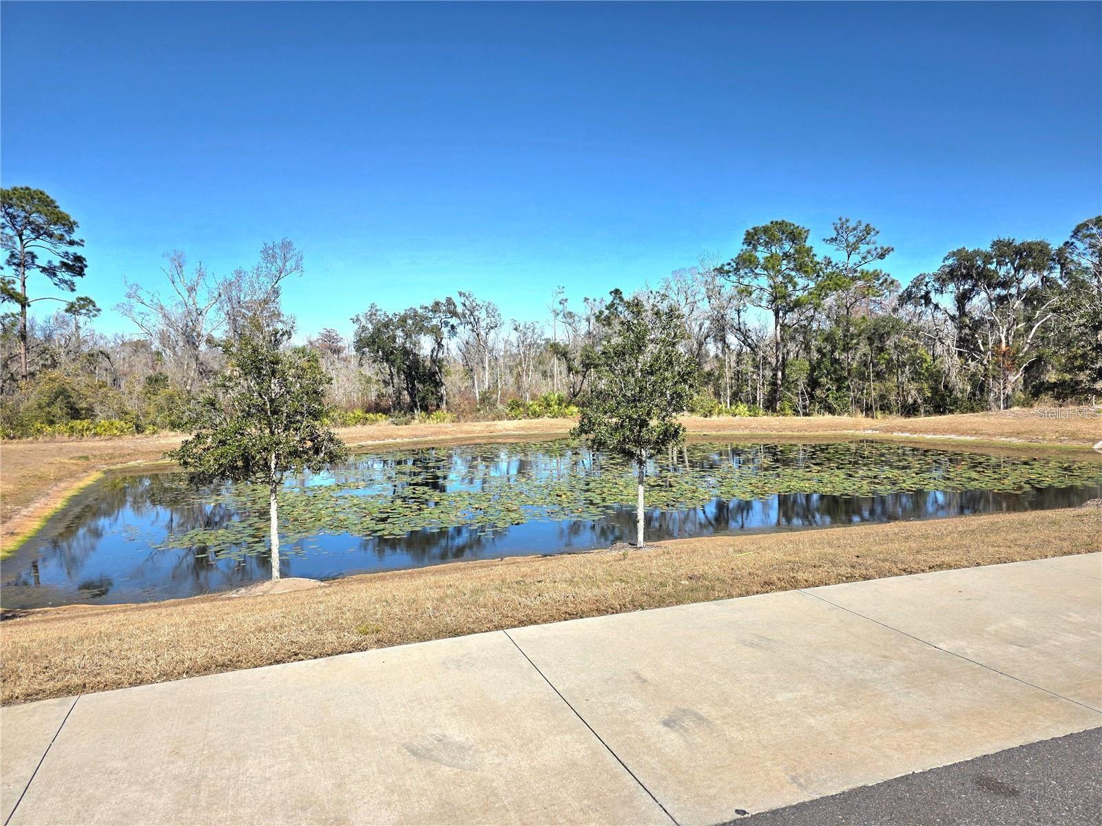 2333 Penguin Blvd Property Photo 23