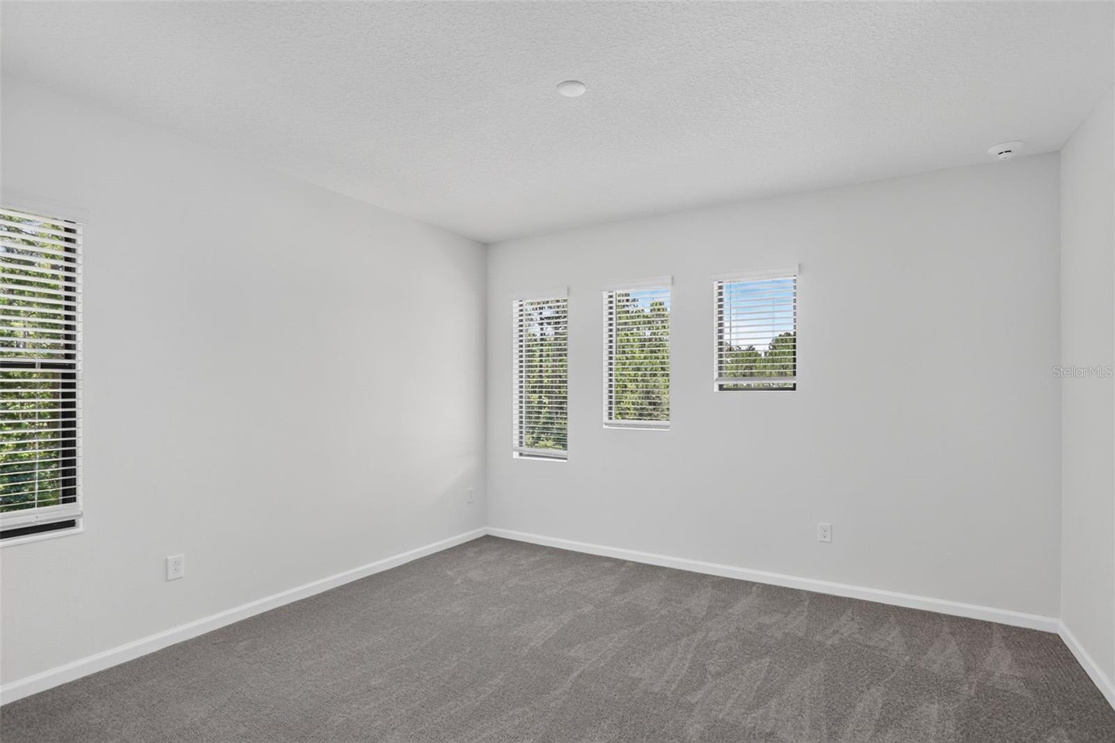 1242 Butterfly Orchid Rd Property Photo 48