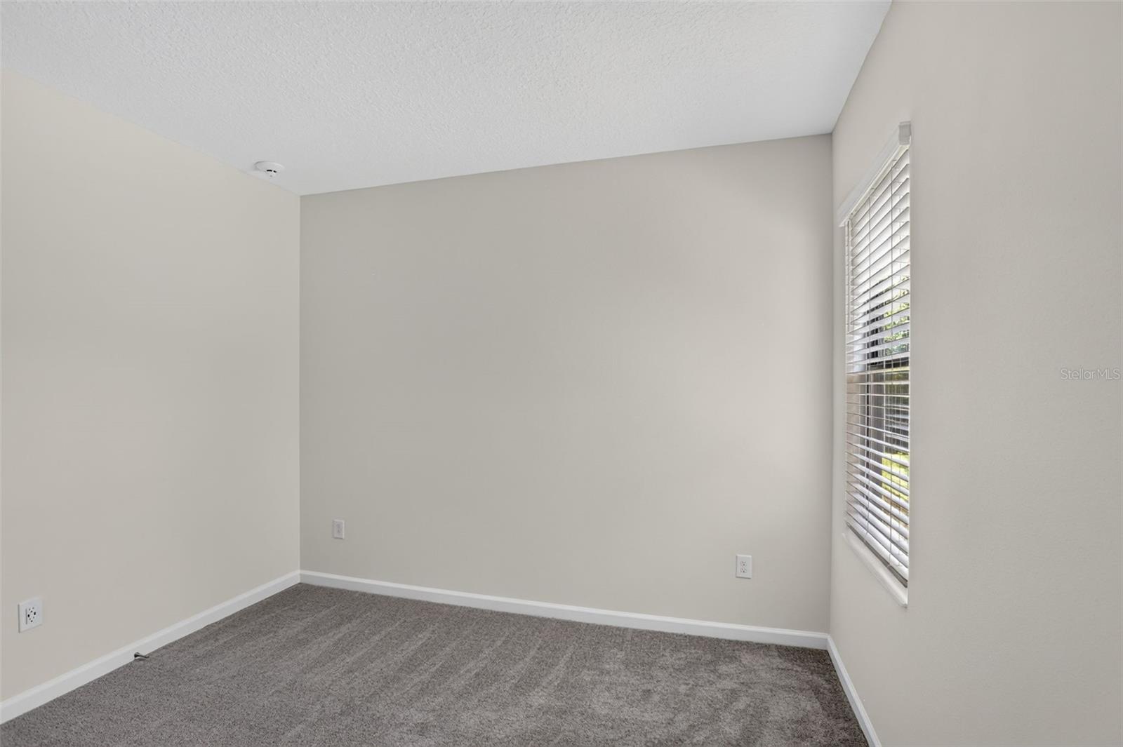1242 Butterfly Orchid Rd Property Photo 58