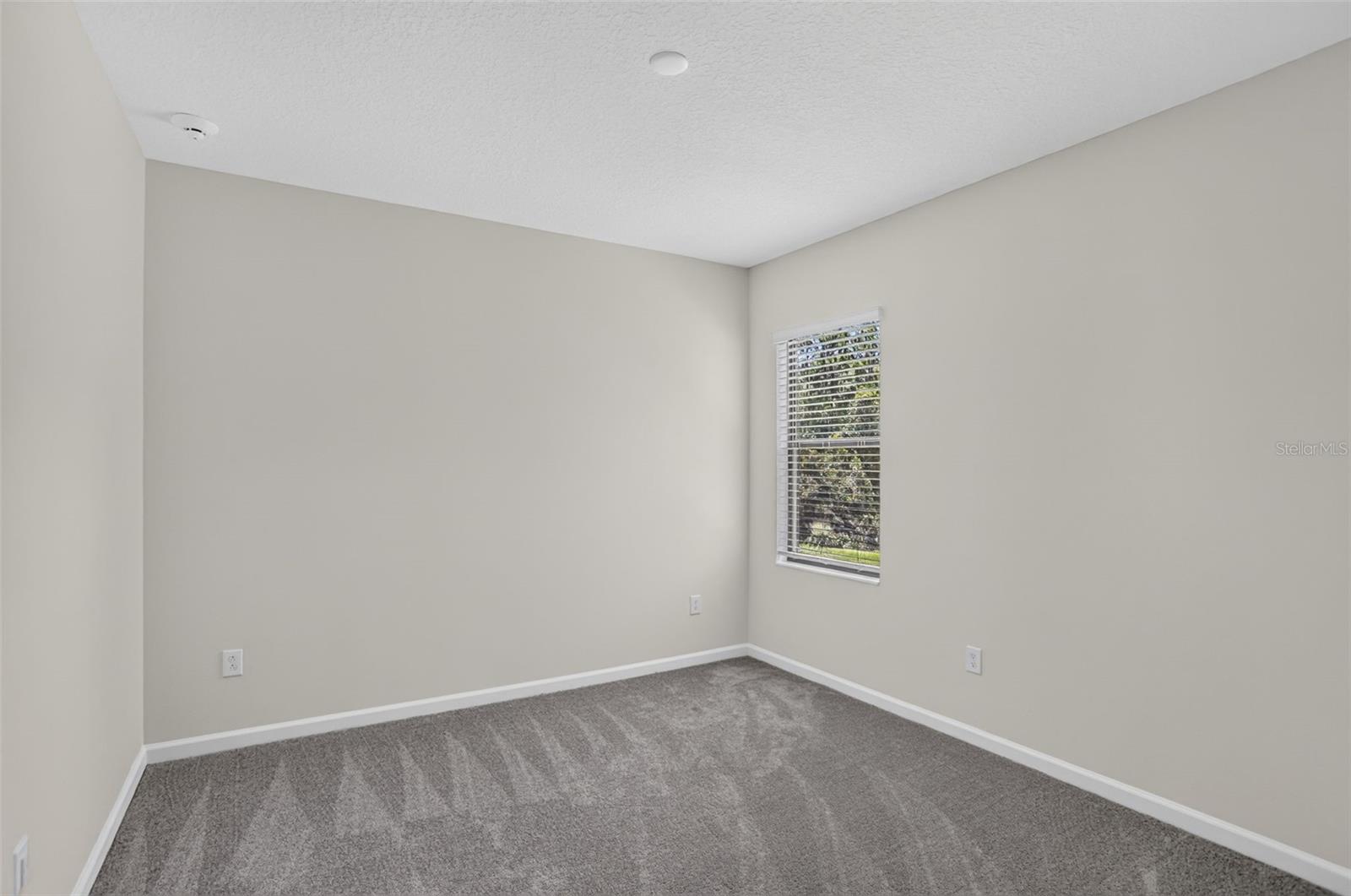 1242 Butterfly Orchid Rd Property Photo 61