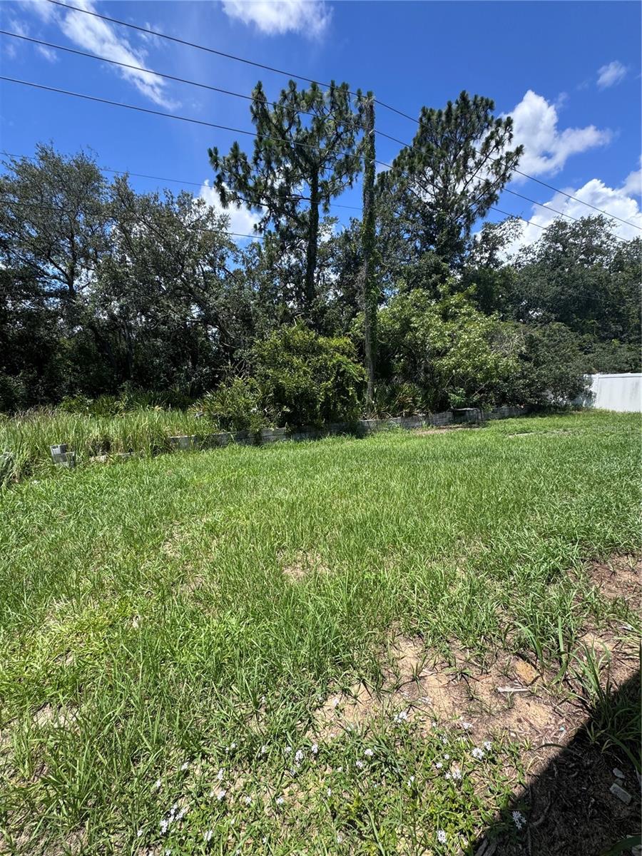338 Kingfish Dr Property Photo 15