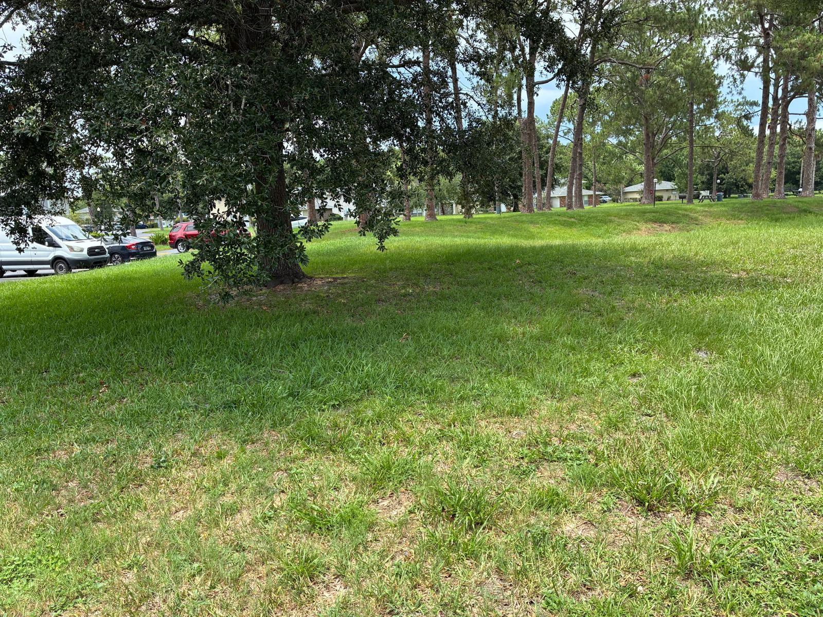 4361 Shadow Crest Pl #32-3 Property Photo 31
