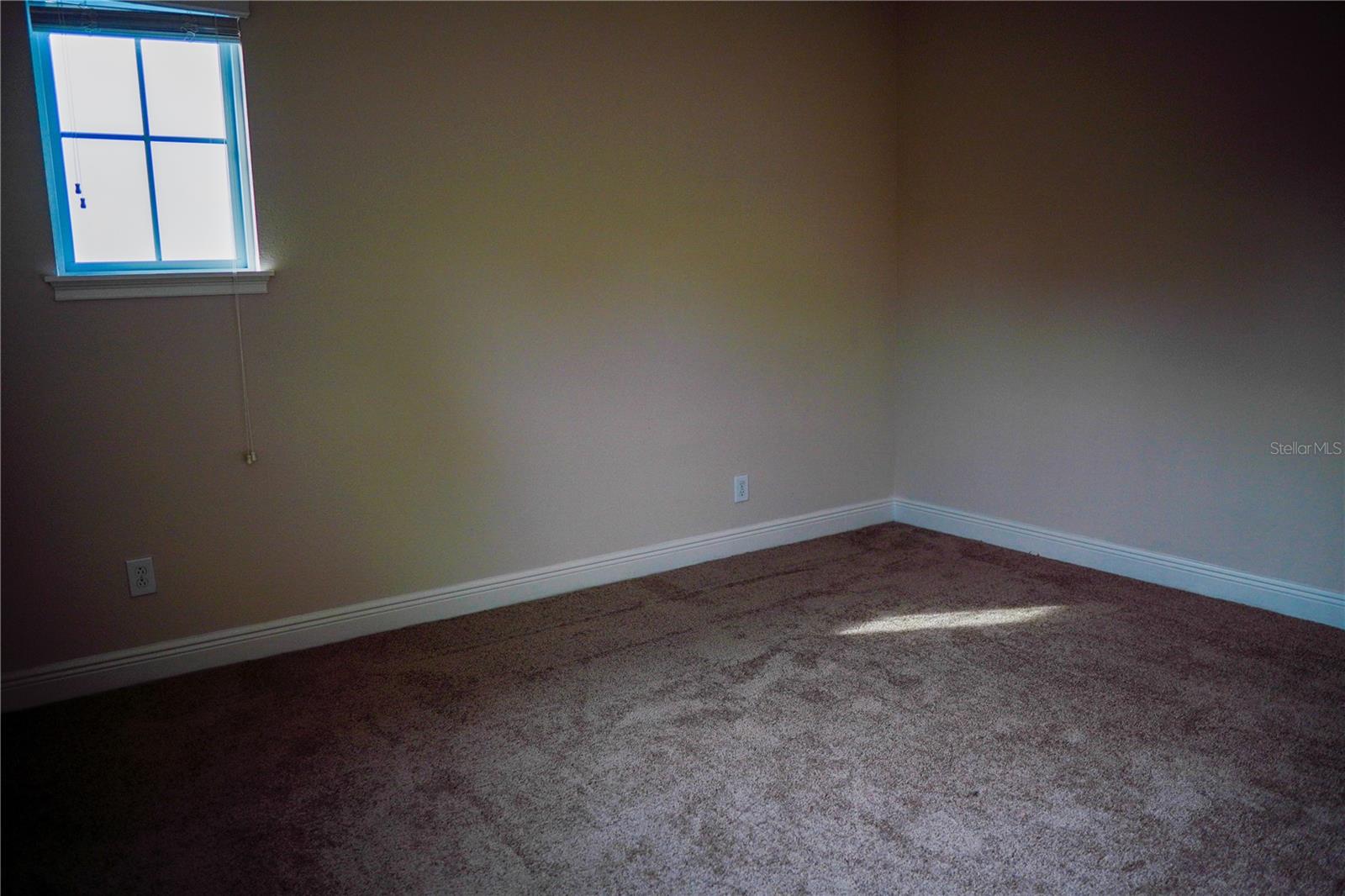 9240 Bradleigh Dr Property Photo 48