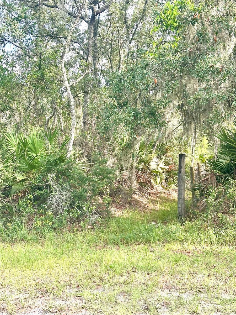 Saffron Ave Property Photo 4