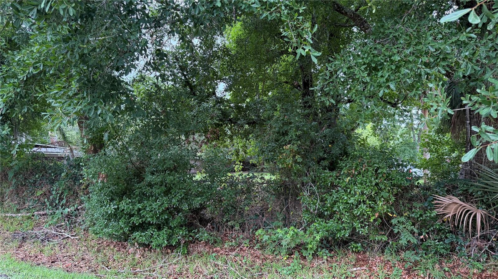 1600 Foxbower Rd Property Photo 4