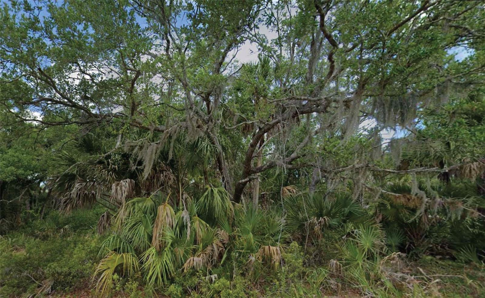 14202 BRISK AVE Property Photo 1