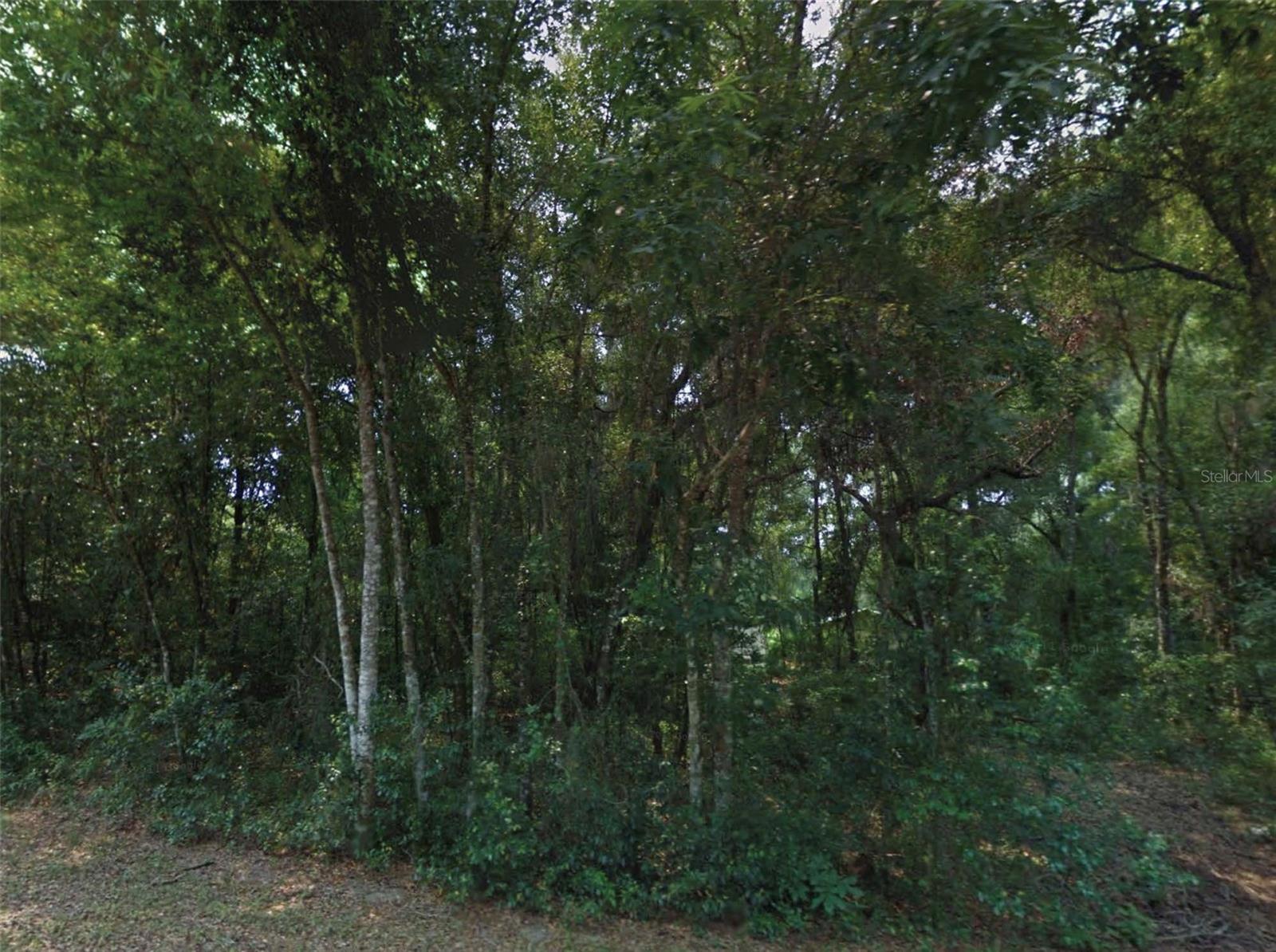 10534 E Waxwing Ln Property Photo 1