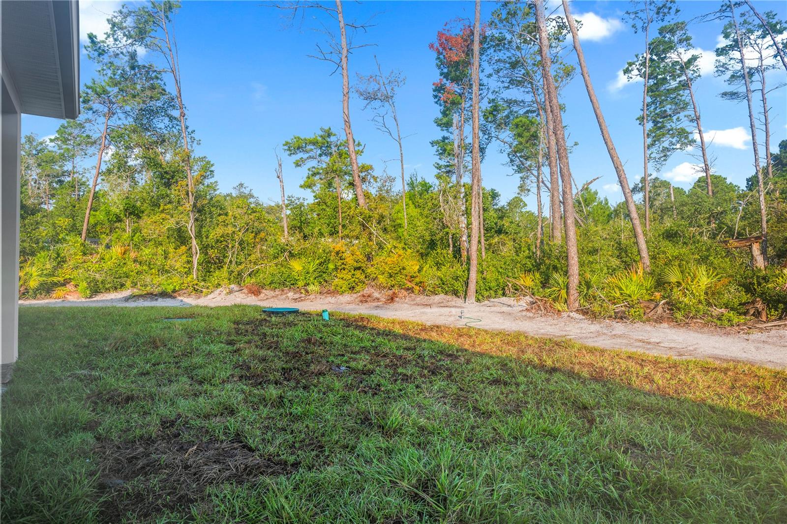 30643 Apricot Ave Property Photo 51
