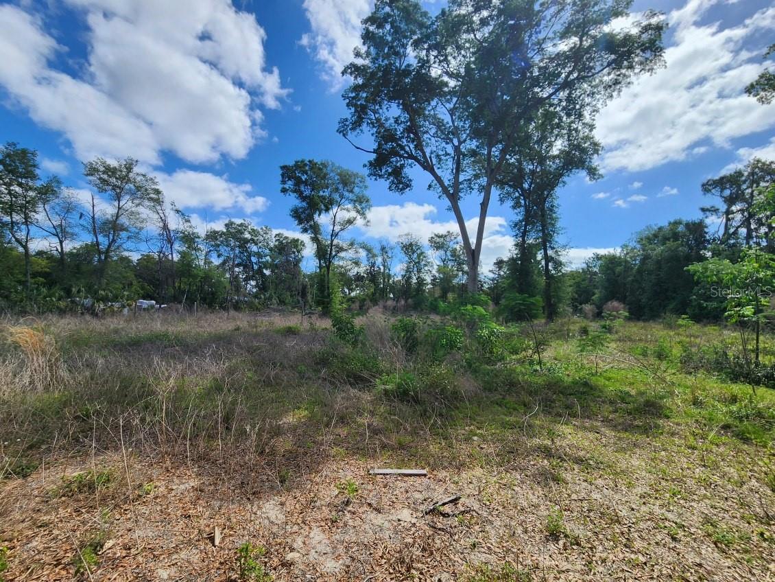 947 Ferne Dr Property Photo 1