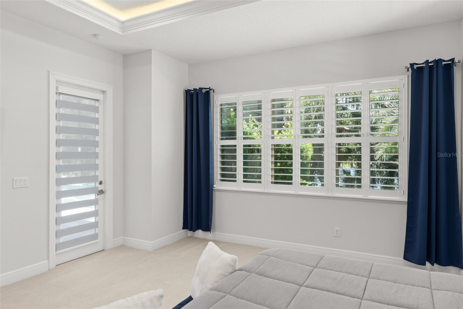 15619 Giant Foxtail Ct Property Photo 26