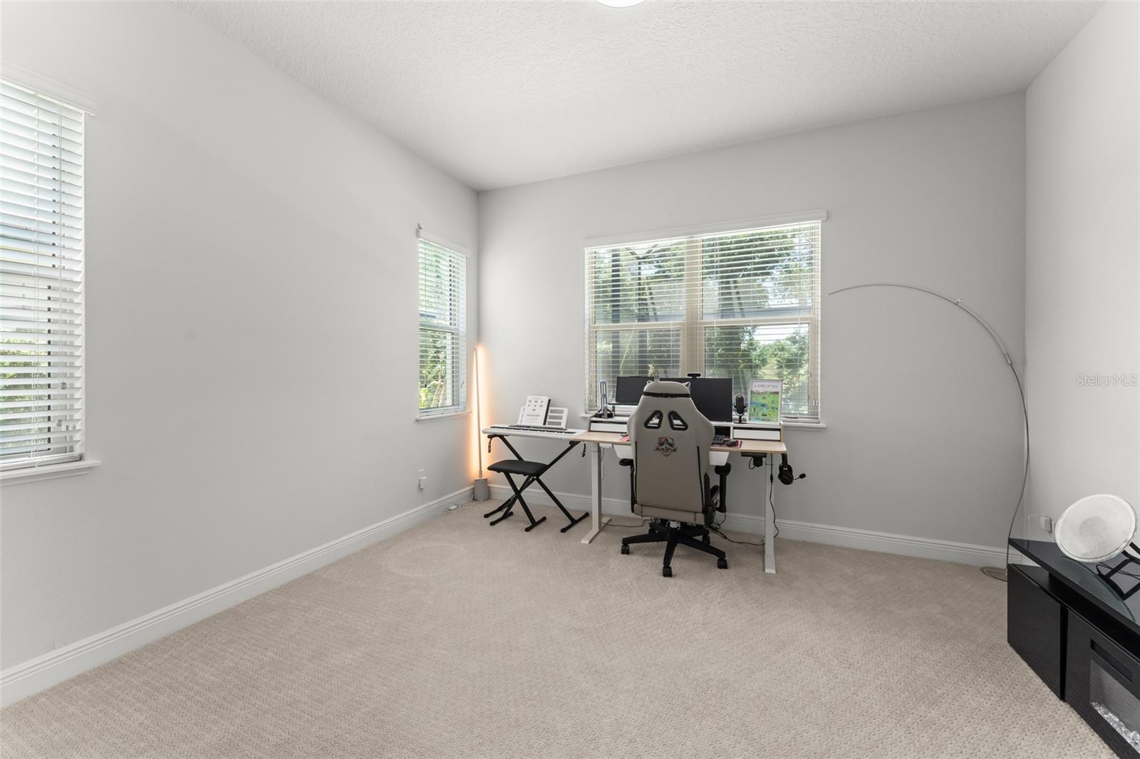 15619 Giant Foxtail Ct Property Photo 40