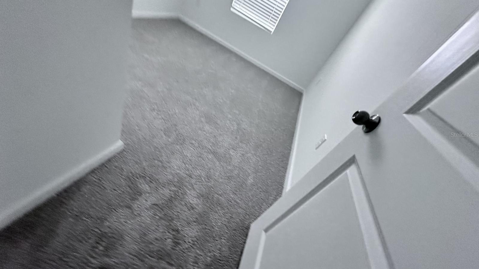 1167 Boardwalk Pl Property Photo 52