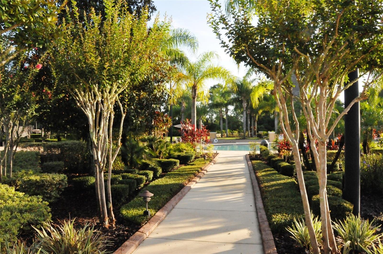 2946 Star Grass Pt Property Photo 40