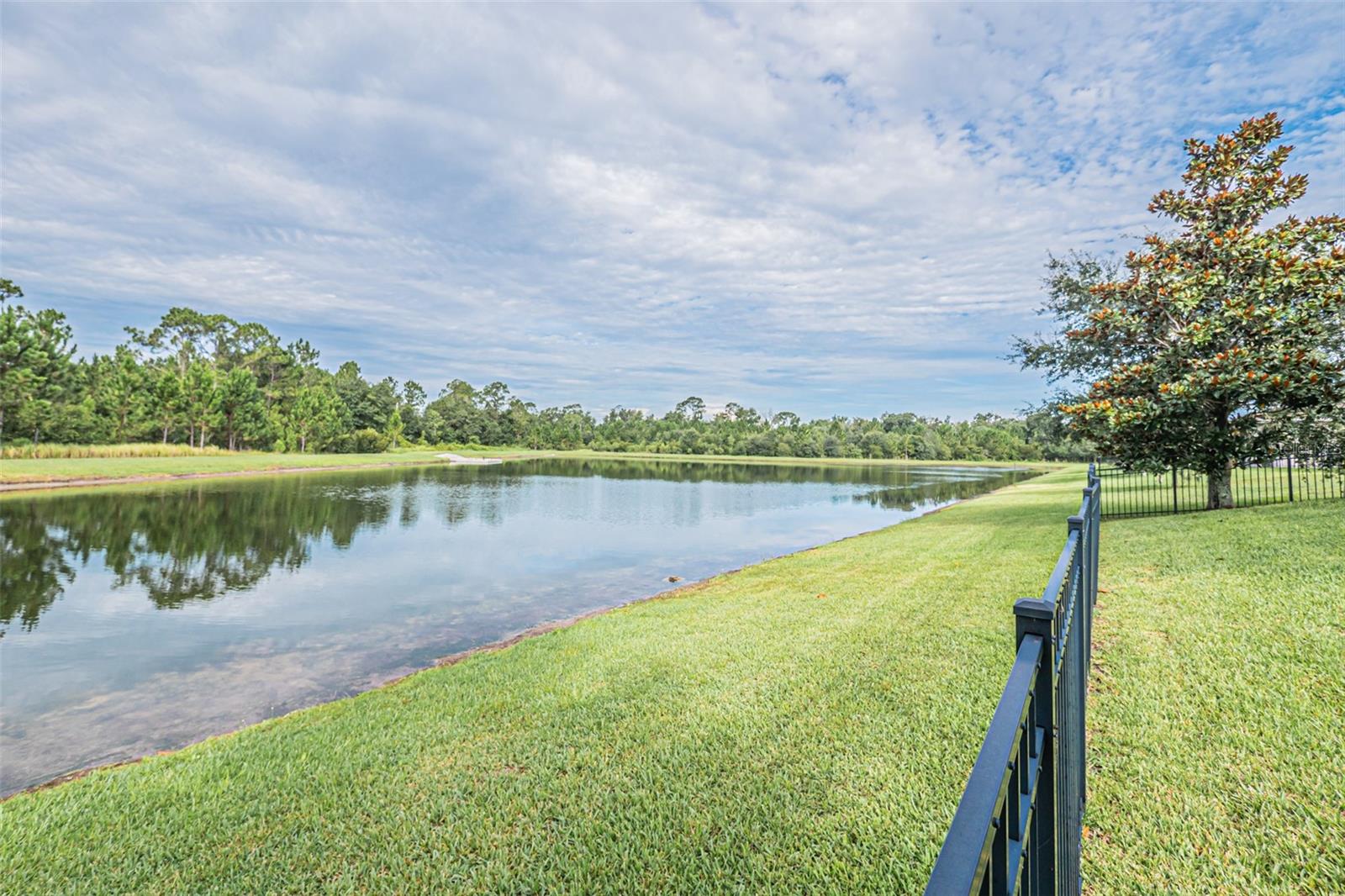 10174 Lovegrass Ln Property Photo 49