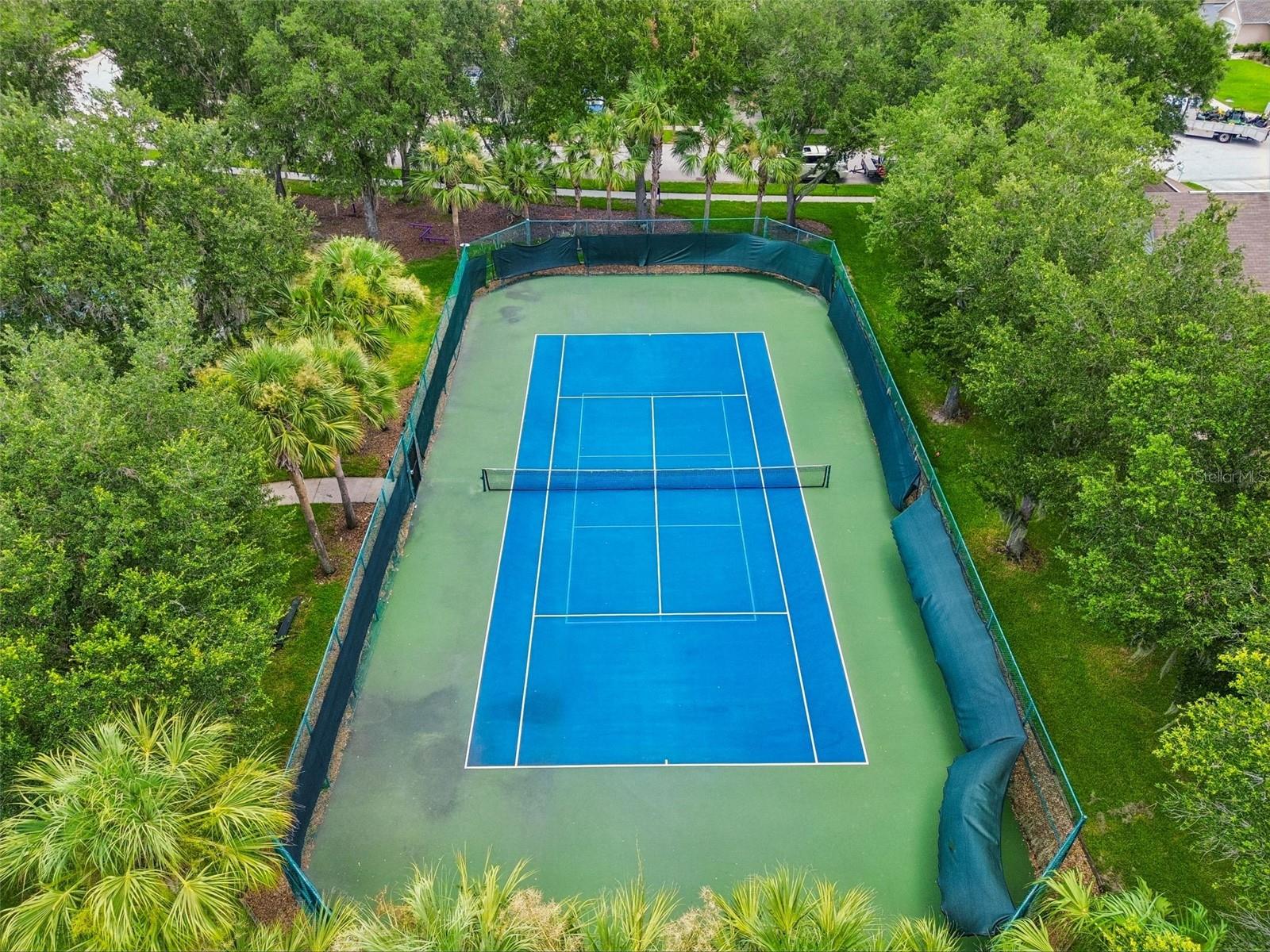 32323 Fish Hook Loop Property Photo 64