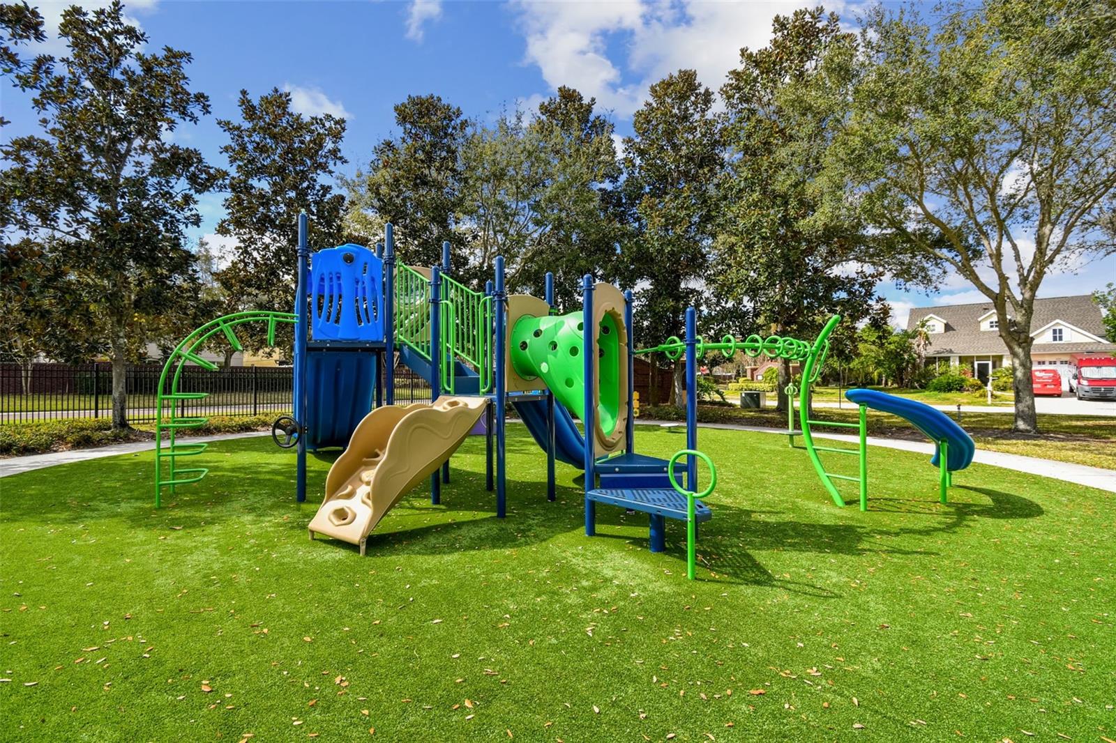 32323 Fish Hook Loop Property Photo 72